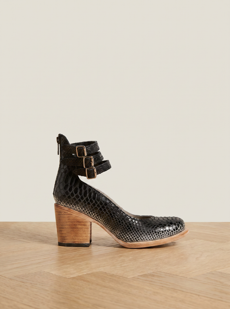 Black alligator